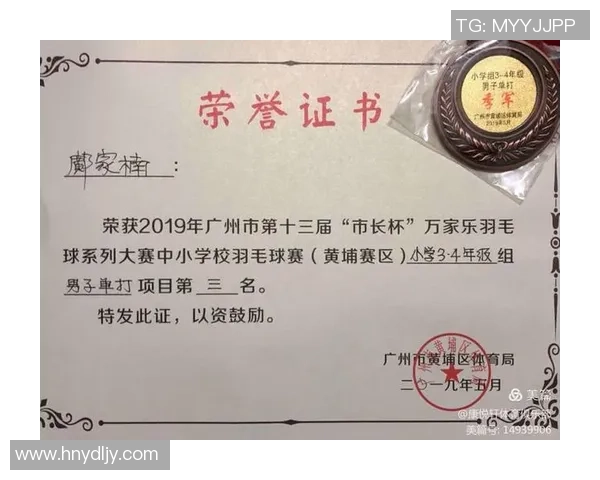 南京羽毛球队配合策略深度对比分析及其对比赛成绩的影响