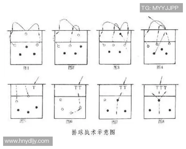 西安排球队中路突破的战术分析与成效评估 西安排球队中路突破的战术分析与成效评估